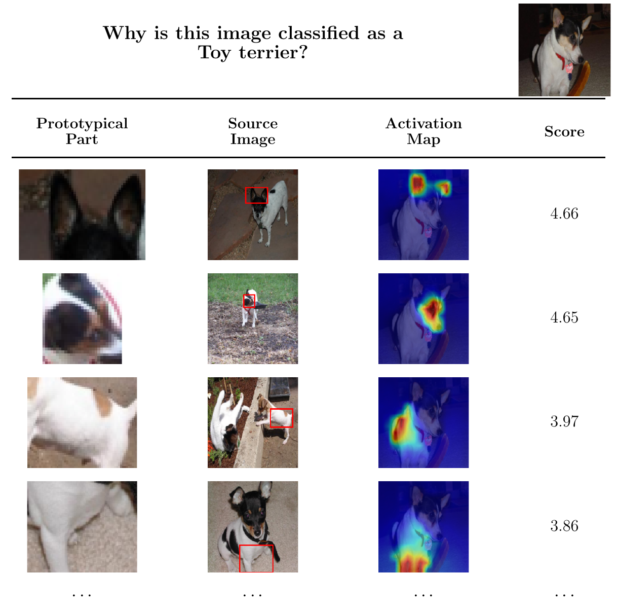 Additional Dogs why-table example emphasizing complementary activations across body regions.