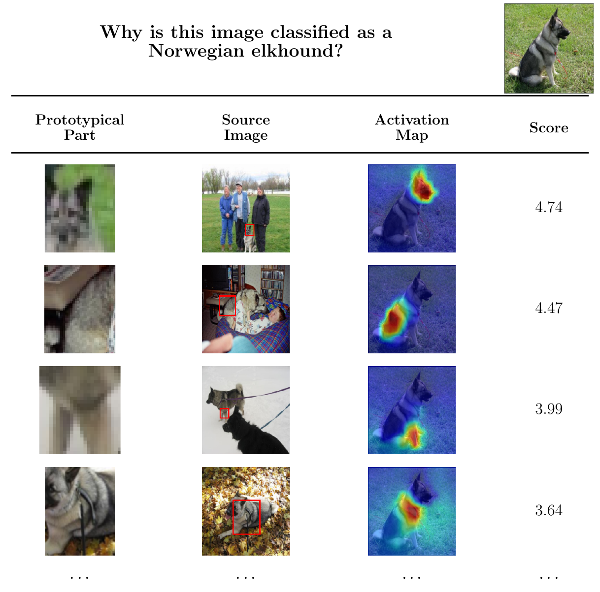 Additional Dogs why-table example with concentrated activations around facial and torso cues.