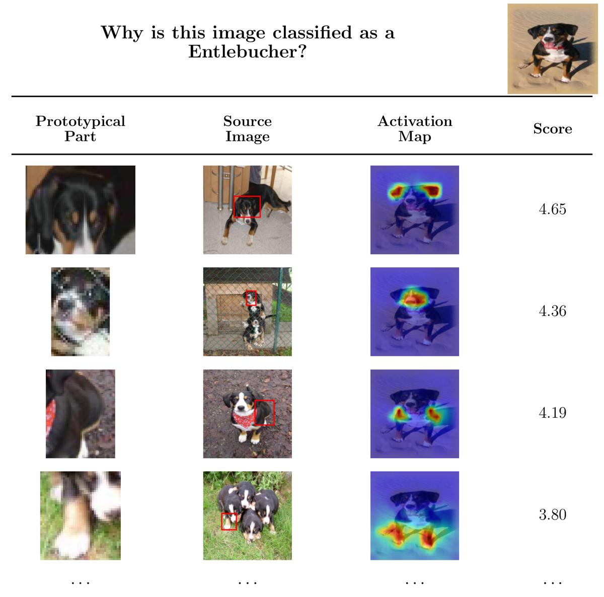 Stanford Dogs why-table with part-level evidence and contributions.